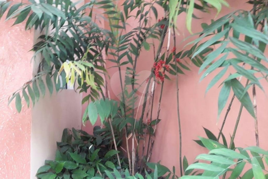 Sobrado à venda com 6 quartos, sendo 2 suítes, em Horto Florestal, São Paulo, SP