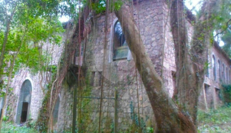 Terreno à venda com 1 suíte no condomínio Chácara Flora, São Paulo - SP