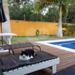 Casa à venda com 6 suítes em Marina, Armação dos Búzios, RJ