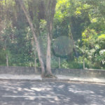 Terreno à venda ou para alugar no Centro, Atibaia, SP