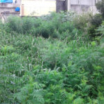 Terreno à venda em Imirim, São Paulo, SP