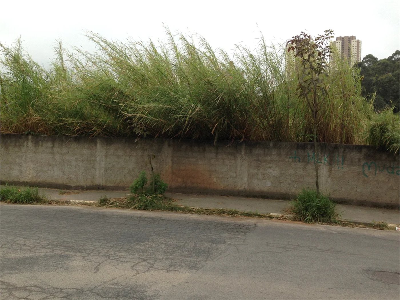 Terreno à venda em Jardim Ampliação, São Paulo, SP
