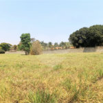 Terreno à venda em Condomínio Quinta da Boa Vista, Ribeirão Preto, SP