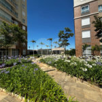 Apartamento à venda com 4 suítes em Vila Embaré, Valinhos, SP