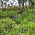 Terreno à venda no condomínio Gleba E1 E2, Mairiporã - SP