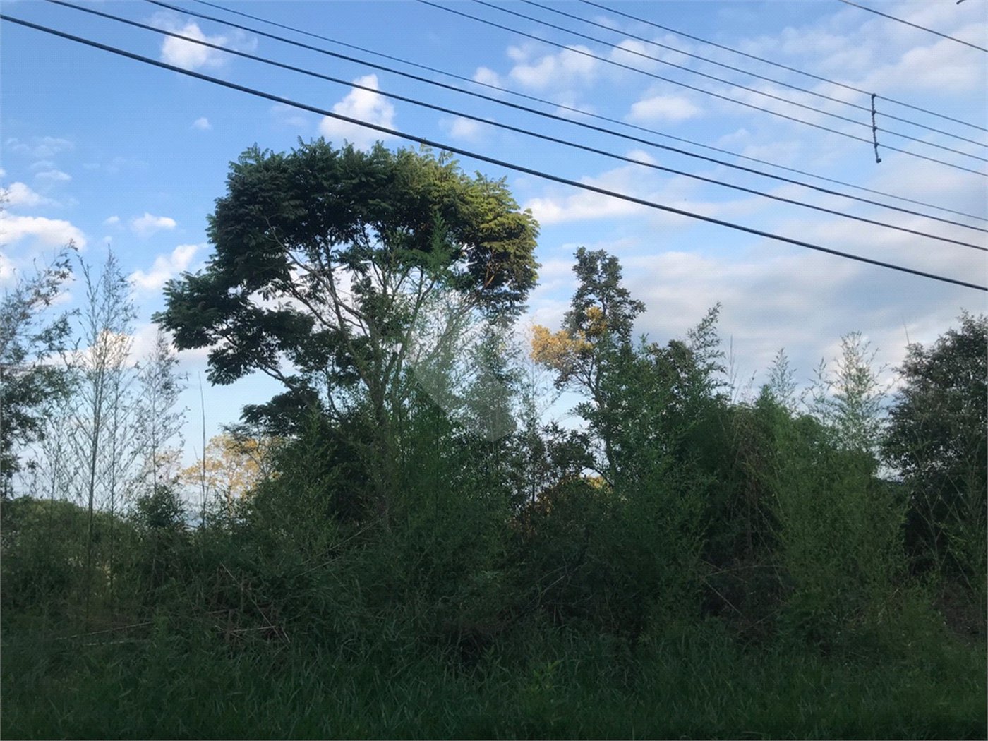 Terreno à venda em Serra da Cantareira, Mairiporã, SP