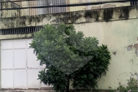 Casa à venda com 3 quartos em Campo Grande, Rio de Janeiro, RJ