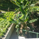 Casa à venda com 5 quartos, sendo 1 suíte,  em Taboão, Mogi das Cruzes, SP