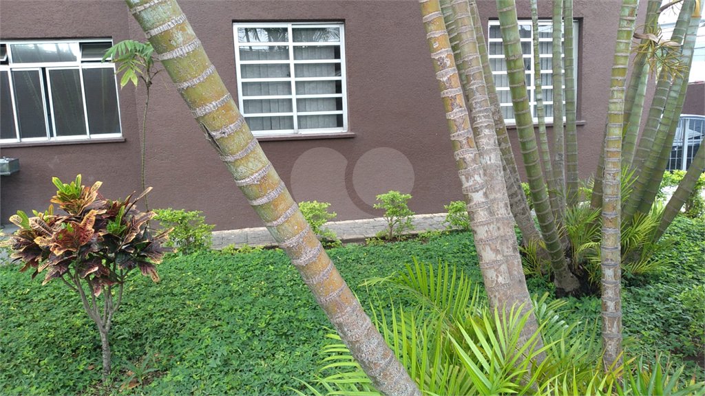 APARTAMENTO A VENDA EM SP BELÉM