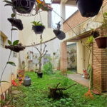 Sobrado à venda com 5 quartos, sendo 1 suíte, em Tremembé, São Paulo, SP