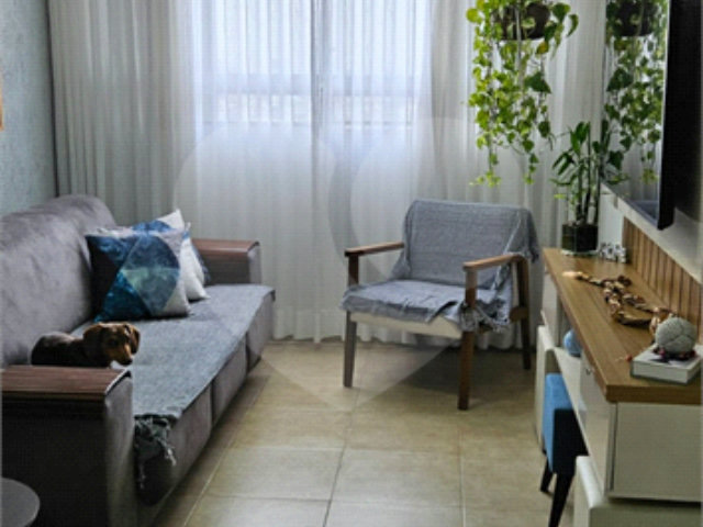 Apartamento à venda com 3 quartos em Limão, São Paulo, SP