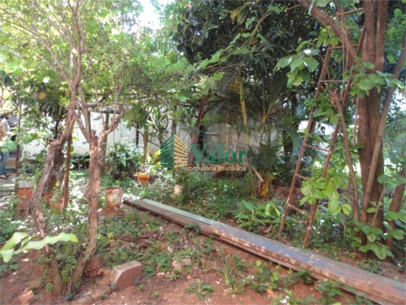 Cada térrea