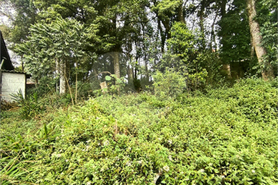 Sobrado à venda ou para alugar com 4 suítes em Serra da Cantareira, Mairiporã, SP