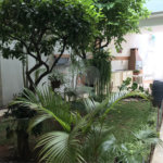 Casa à venda com 3 suítes em Tremembé, São Paulo, SP