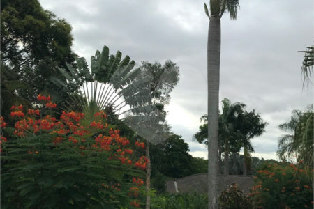 Casa à venda com 5 quartos, sendo 3 suítes, em Recanto das Flores, Indaiatuba, SP