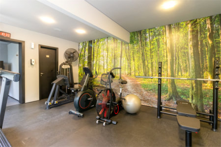 Apartamento à venda com 4 quartos, sendo 3 suítes, em Água Fria, São Paulo, SP