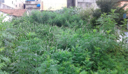 Terreno à venda em Imirim, São Paulo, SP