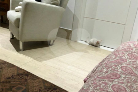 Sobrado à venda com 4 suítes em Planalto Paulista, São Paulo, SP