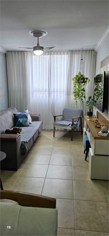 Apartamento à venda com 3 quartos em Limão, São Paulo, SP