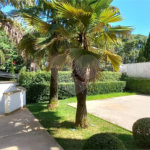 Sobrado à venda ou para alugar com 7 quartos, sendo 4 suítes,  em Cidade Jardim, São Paulo, SP
