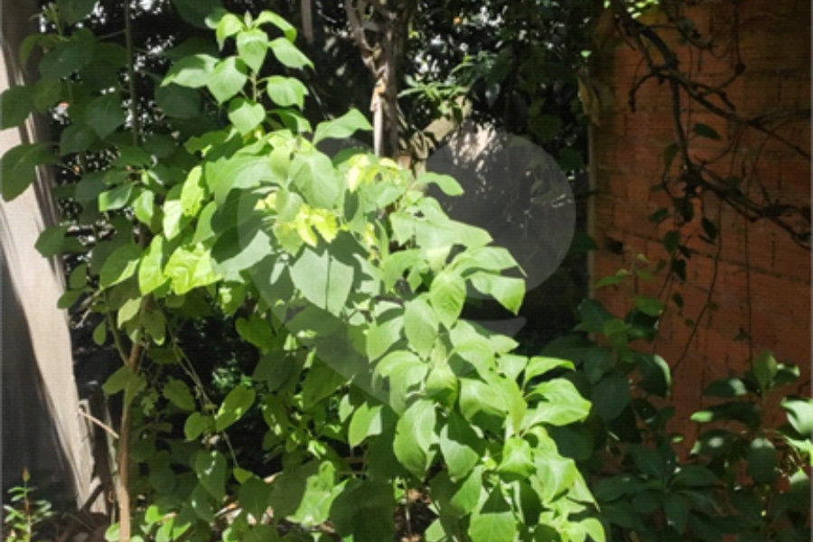 Terreno à venda com 3 quartos em Casa Verde, São Paulo, SP