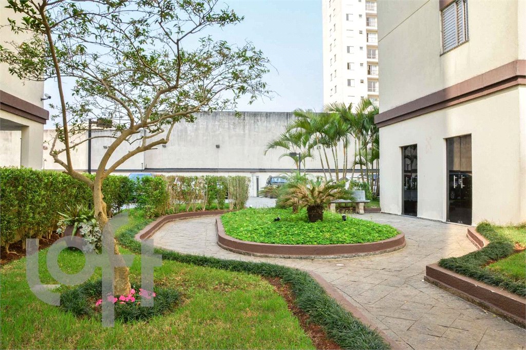 Apartamento à venda com 3 quartos em Vila Antonieta, São Paulo, SP