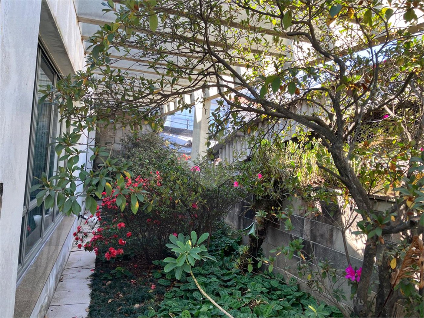 Casa à venda com 5 quartos, sendo 2 suítes,  em Vila Maria Alta, São Paulo, SP