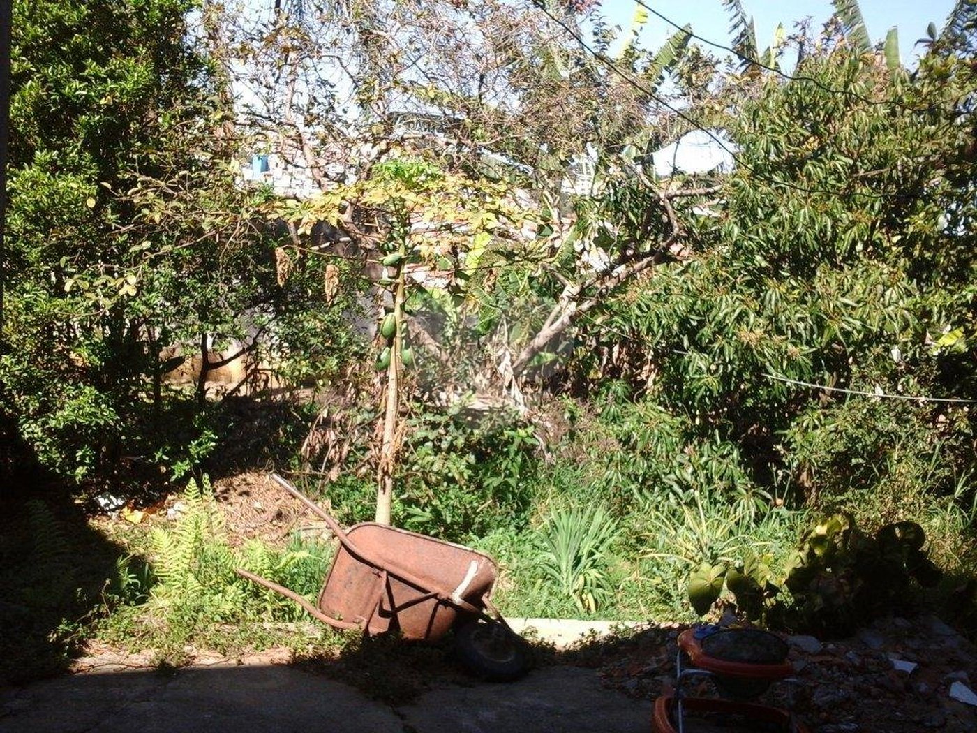 Terreno à venda em Tremembé, São Paulo, SP