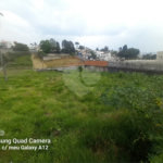 Terreno à venda em Vila Oliveira, Mogi das Cruzes, SP