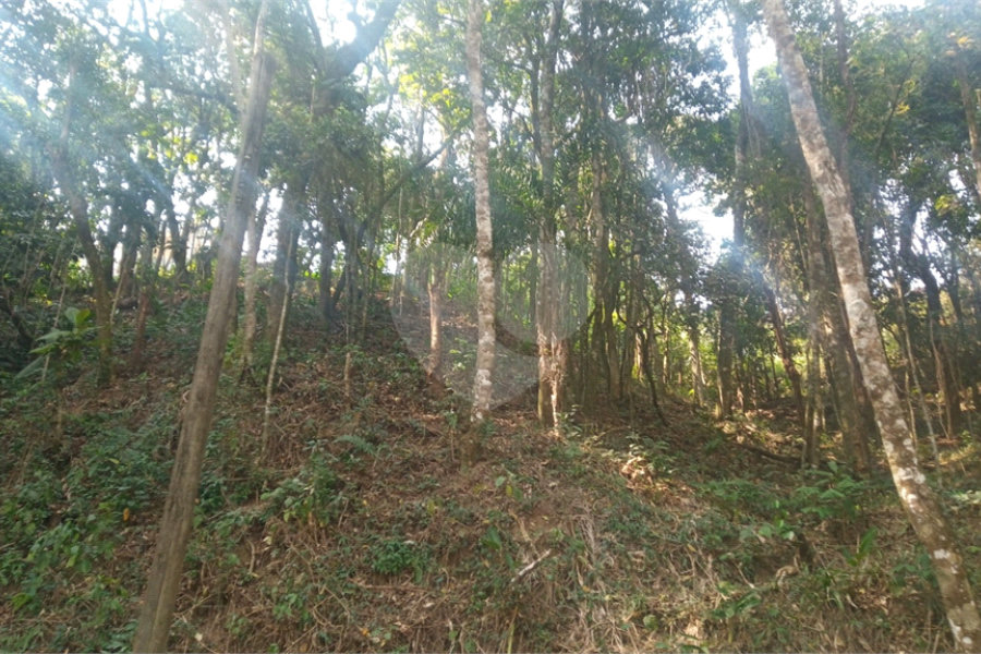 Terreno à venda em Serra da Cantareira, Mairiporã, SP