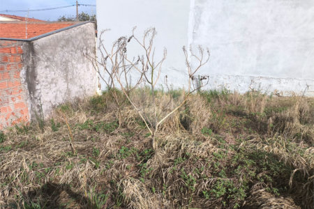 Terreno Jardim Embaré 250 metros