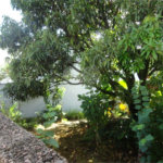 Terreno à venda em Vila São José, Valinhos, SP