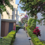 Apartamento à venda com 2 quartos em Jardim Flor da Montanha, Guarulhos, SP