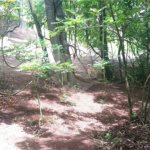 Sítio à venda no Centro, Monte Sião, MG