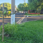 Terreno à venda no condomínio Altos do Jaraguá, Araraquara - SP