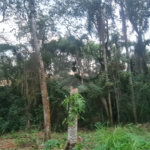 Condomínio à venda em Serra da Cantareira, Mairiporã, SP