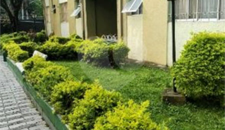 Apartamento à venda com 2 quartos em Vila Nova Cachoeirinha, São Paulo, SP