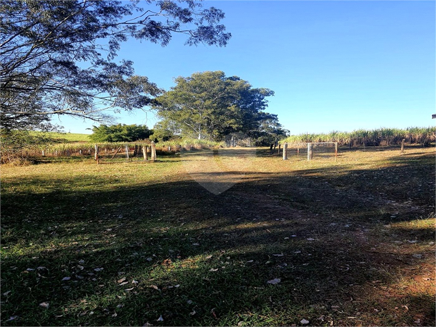 Fazenda em Ribeirão Bonito