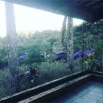 Casa à venda com 3 suítes em Serra da Cantareira, Mairiporã, SP