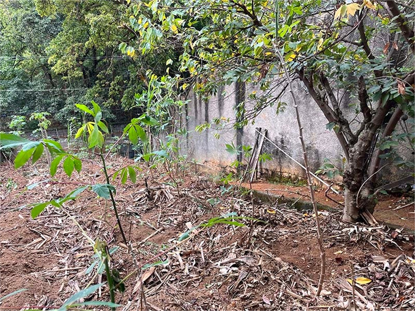 Terreno à venda em Santana, São Paulo, SP