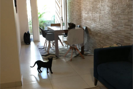Sobrado à venda com 3 quartos, sendo 1 suíte, em Vila Ipojuca, São Paulo, SP