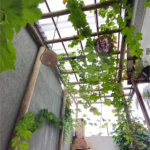 Casa à venda com 4 quartos em Campo Grande, Rio de Janeiro, RJ