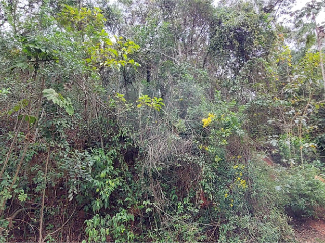 Terreno à venda em Samambaia, Mairiporã, SP
