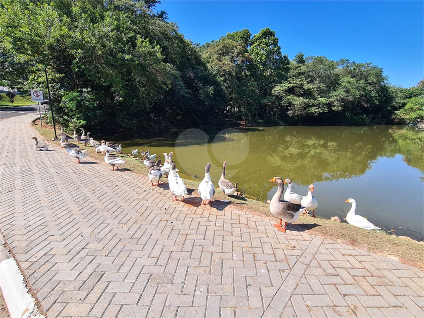 Casa à venda com 3 quartos, sendo 1 suíte, no condomínio Terras de São Francisco, Vinhedo - SP