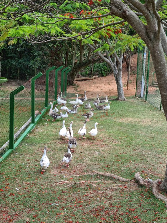 Casa à venda com 3 suítes no condomínio Terras de São Francisco, Vinhedo - SP