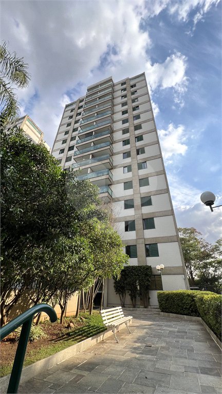 Apartamento à venda com 3 quartos, sendo 1 suíte,  em Parque Mandaqui, São Paulo, SP