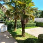 Sobrado à venda ou para alugar com 7 quartos, sendo 4 suítes, em Cidade Jardim, São Paulo, SP