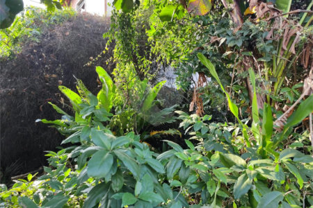Terreno à venda em Tucuruvi, São Paulo, SP