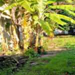 Terreno à venda em Campo Belo, São Paulo, SP