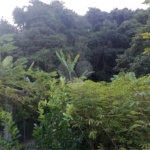 Chácara à venda com 5 quartos, sendo 1 suíte, em Jardim Marabá, Itapetininga, SP